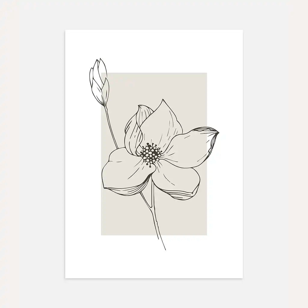 Anemone Floral Silhouette Poster