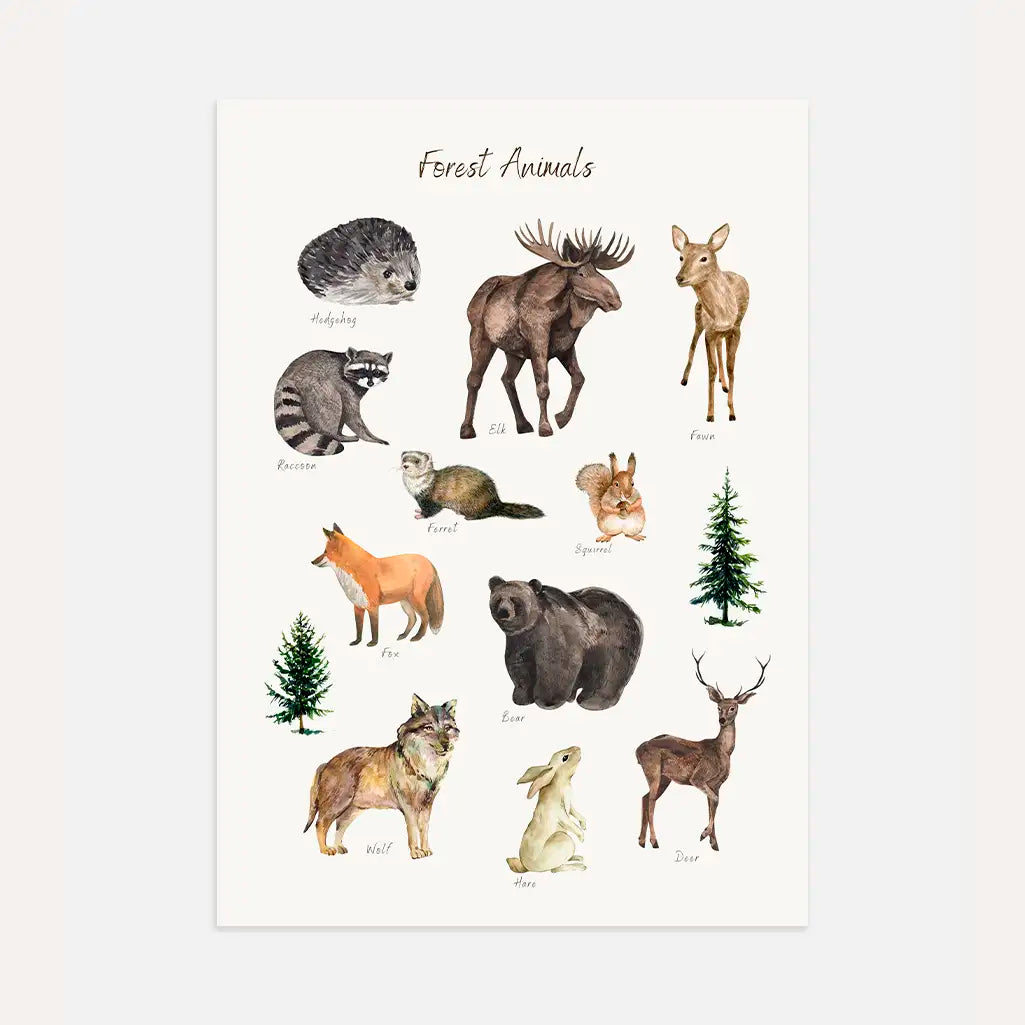 Forest Animals Educational Poster