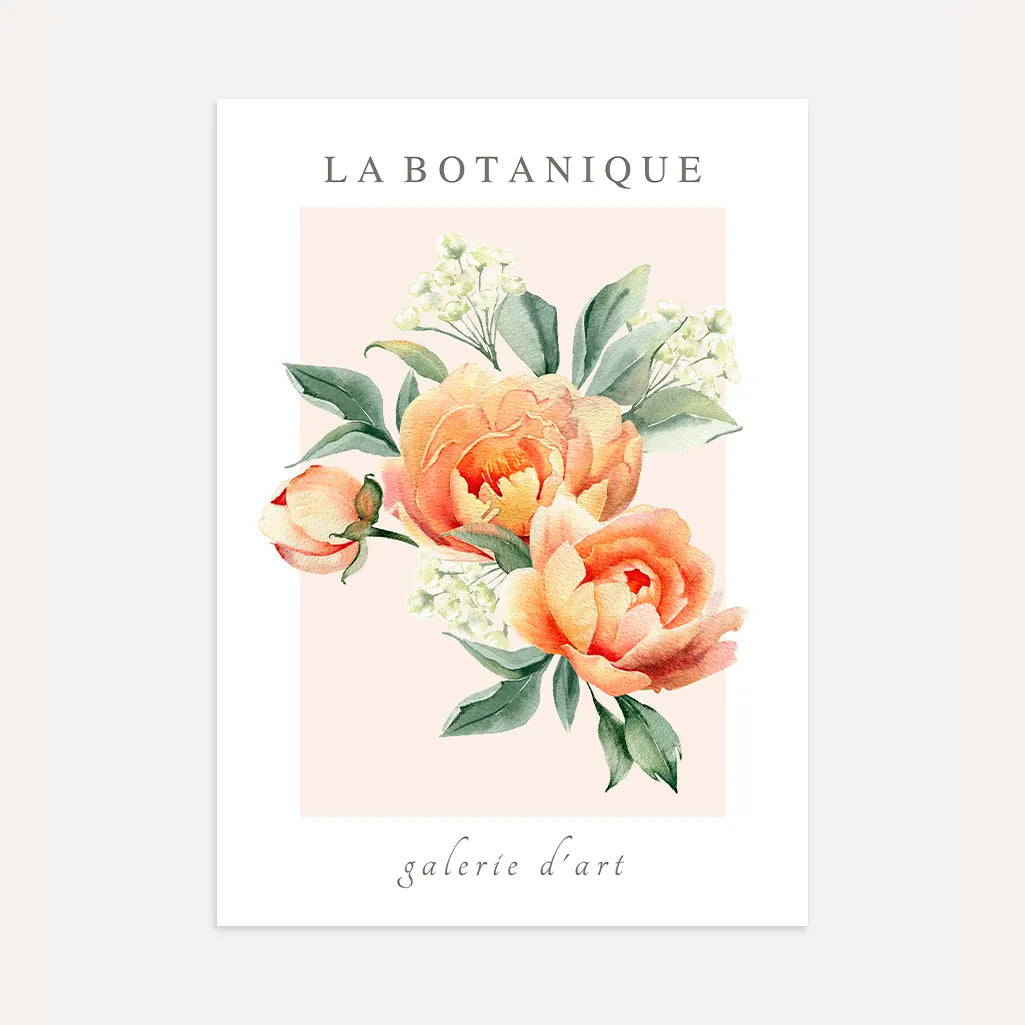 Peach Peony Watercolour Poster