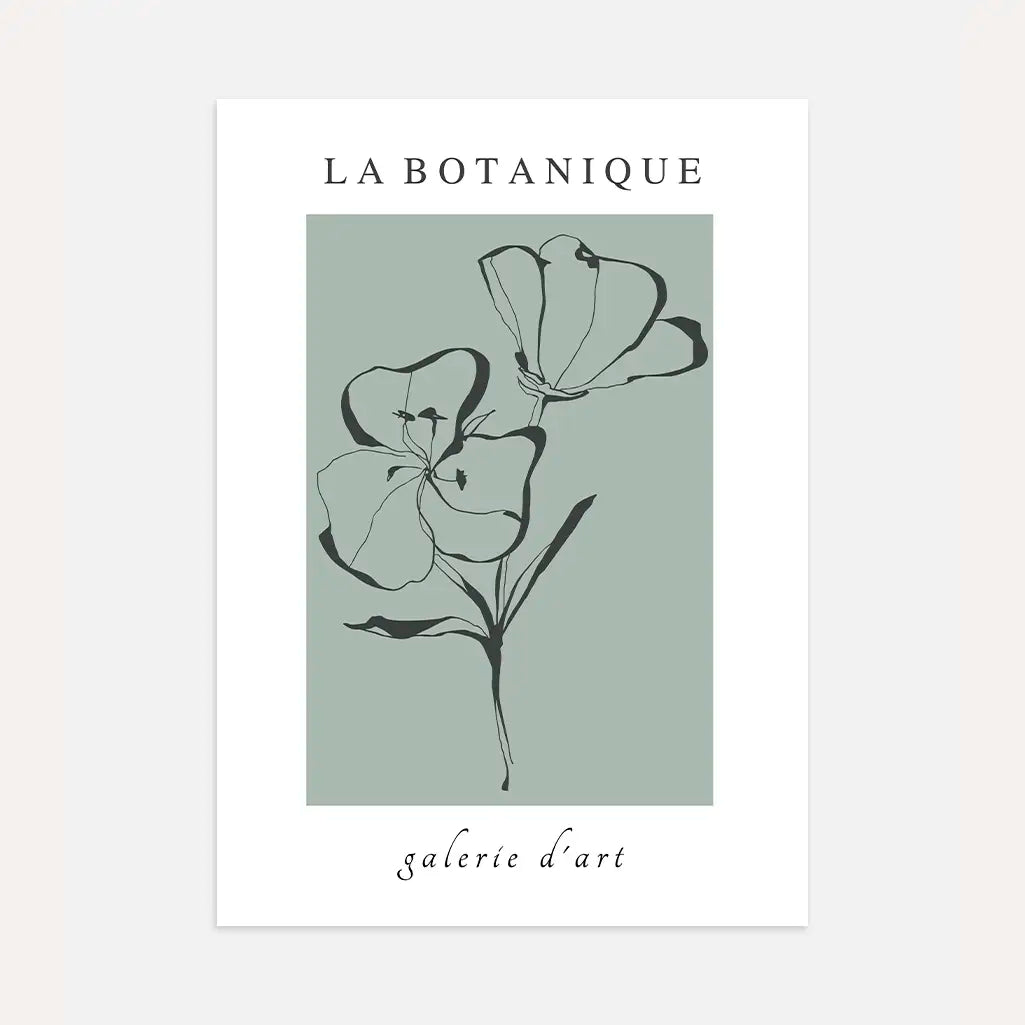 Fleurs Contours Poster